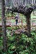 027_2008-0919-1512-26.jpg